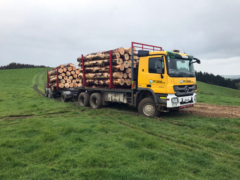2 staging log haulage