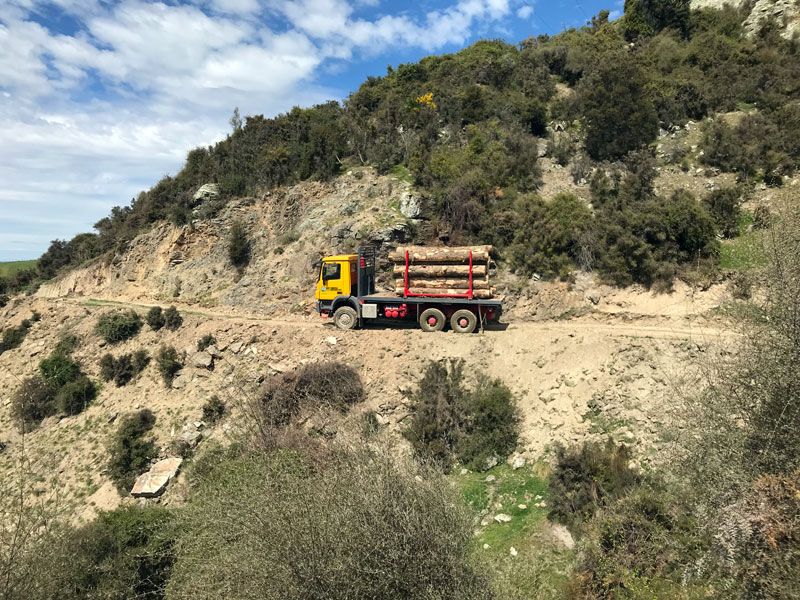 Off Road Log Haulage Ltd, Dunedin, Otago