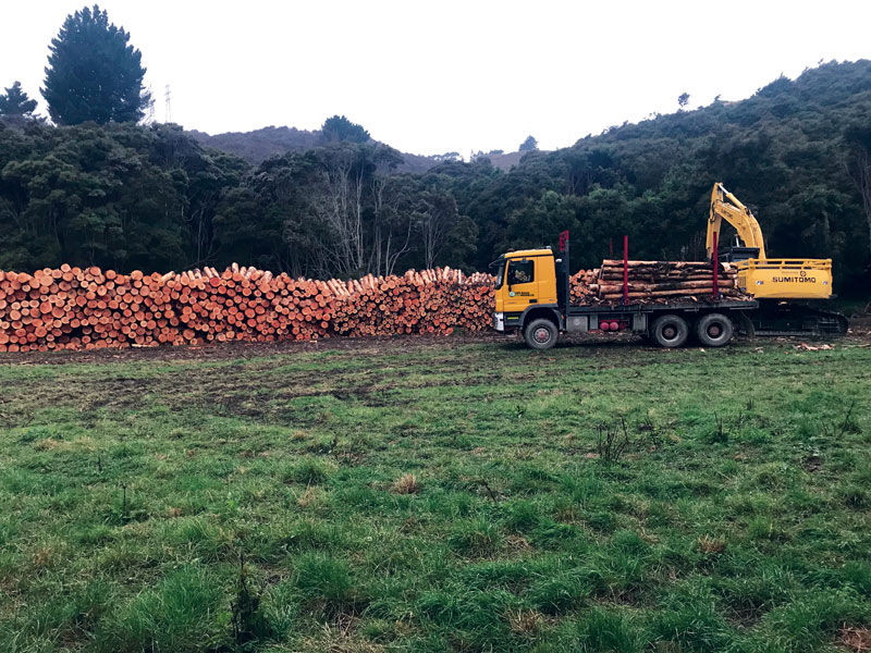 Off Road Log Haulage